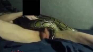 Snake gets fucked by a dude with a huge python