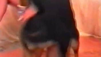 Retro footage focusing on a dog-loving MILF slut