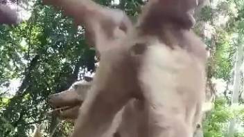Guy's about to slam a freaky wildcat from the rear
