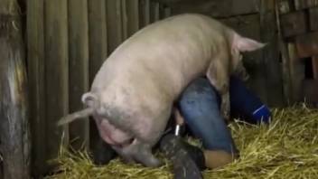 Swine butt penetrates narrow homosexual dude in intense live cam sequences