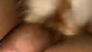 Guy with a delicious cock ready for some intense licking
