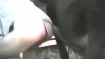Classic clip featuring a hairless stud and an alluring mule
