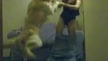 Skirt-wearing young hottie gets plowed hard by a dog
