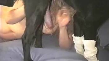 Dark canine has its penis masturbated prior to reverse cowgirl zoophilia encounter