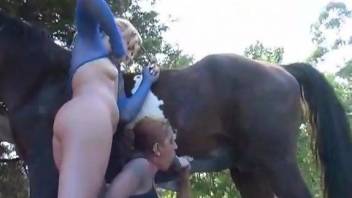 Hot women taking turns with a hung as fuck horse