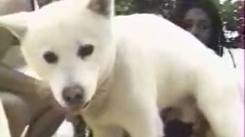 Aroused duo involves the canine in their insatiable animal webcam escapade