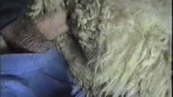 Attractive man passionately penetrating a creature with his dick