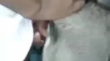 Dominant guy teaching this bitch who's in charge around here