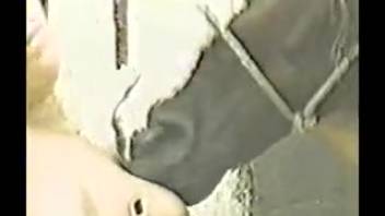 Old-school footage featuring two aroused equine enthusiasts