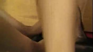 Ebony canine receives oral pleasure from a sun-kissed dark-haired slut