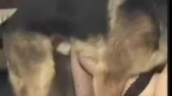 Premium vintage animal encounters featuring sexy mature women