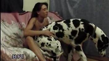Lithe zoophile babe spreads her legs for a Dalmatian
