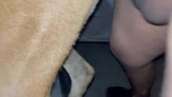 Fortunate dude employs his cock to bang a obedient bitch