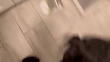 Amusing adult film showcasing animal licking from a first-person view