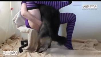 Masked beauty in purple and black gets fucked by a dog