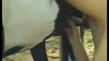 Top animal sex collection featuring ejaculations