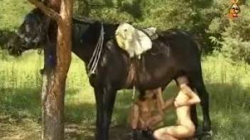 Hung black horse gets its dick sucked on camera