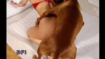 Pasty blonde getting banged by her kinky canine lover