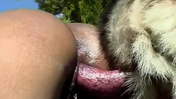 Tanned brunette gets fucked on all fours, outdoors