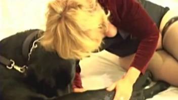 Stocking-clad blonde screwing a well-endowed black canine