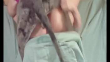 Massive ebony monster skillfully penetrated by dick-adoring spouse