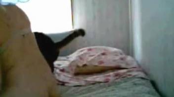Black & white doggy gives a cunnilingus in the bedroom