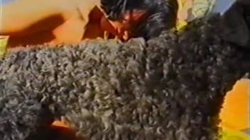 Dark-haired novice giving oral to the dog's penis before intense intercourse