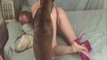 Savage canine elegantly pounds my spouse in the missionary position